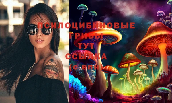 меф Козельск