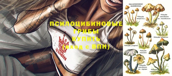 меф Козельск