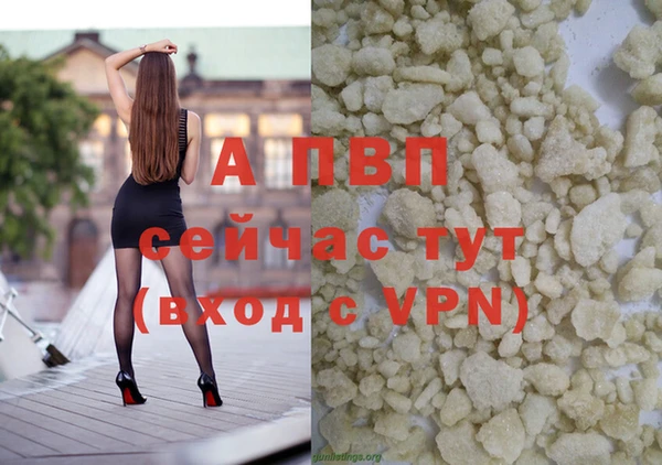 амф Кодинск