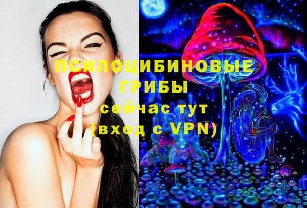 меф Козельск