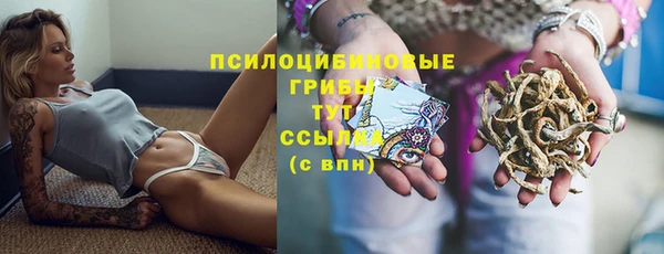 амф Кодинск